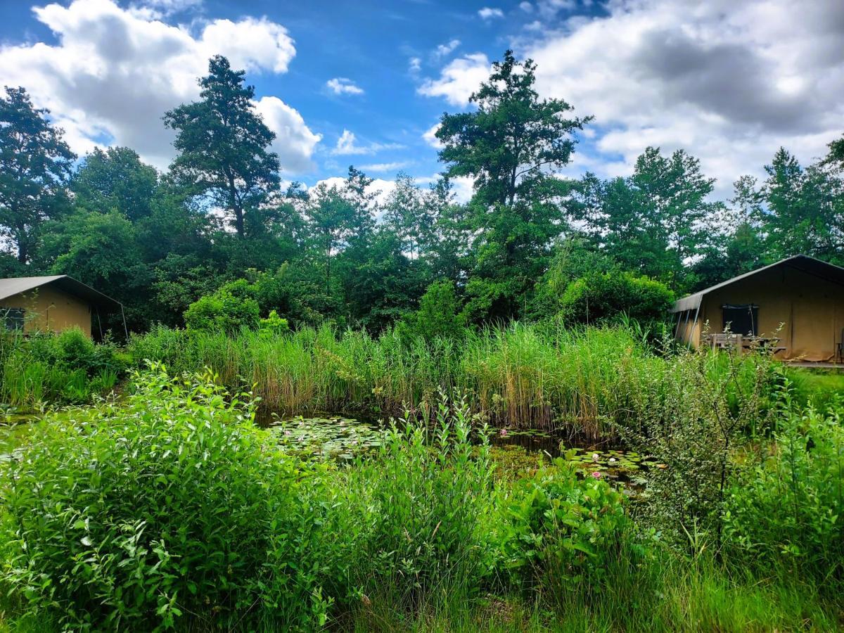 Uylkenshof Safaritenten En Natuurhuisjes Epe Exteriör bild