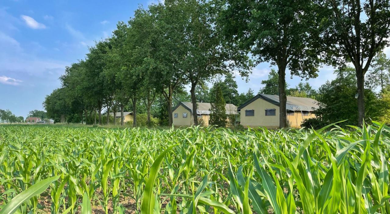 Uylkenshof Safaritenten En Natuurhuisjes Epe Exteriör bild